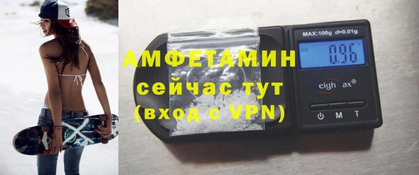 прущие грибы Богородицк