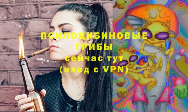 не бодяженный Белокуриха