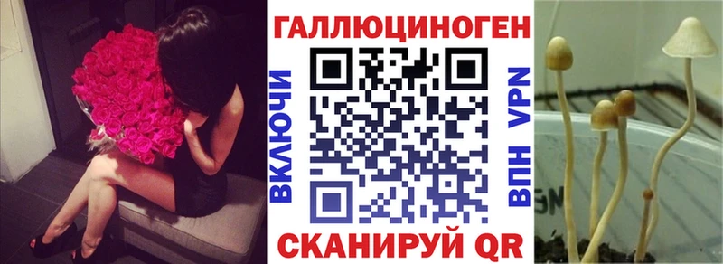 Галлюциногенные грибы прущие грибы  Купить  Заинск 